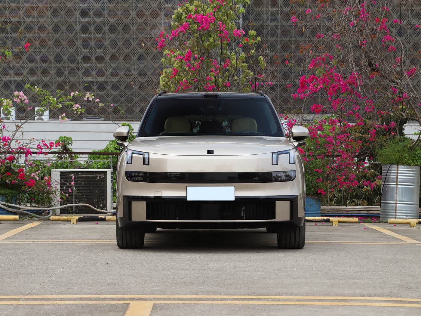 Lynk & Co 900-Ultra 2.0T